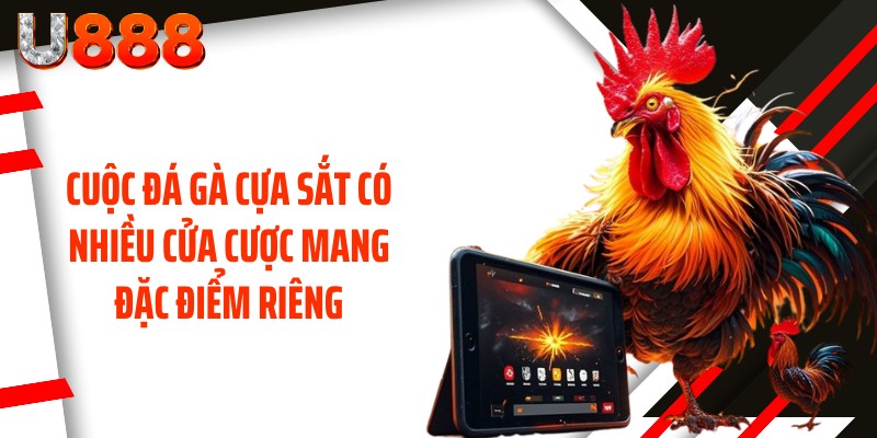 Cuộc đá gà cựa sắt có nhiều cửa cược mang đặc điểm riêng
