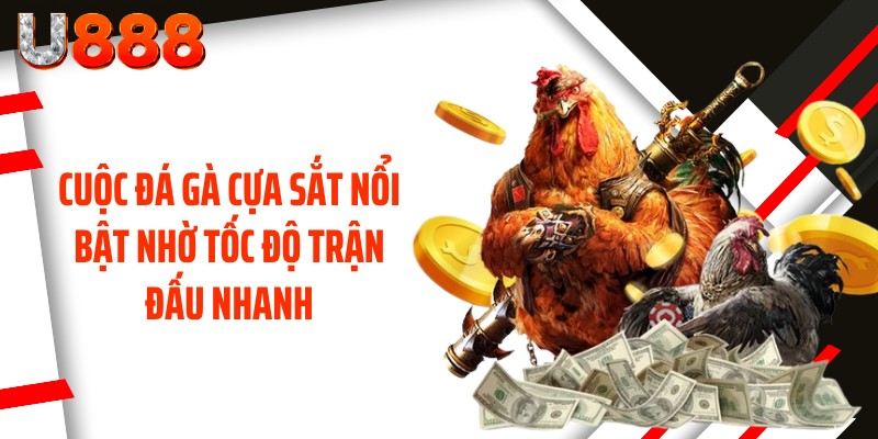 Cuộc đá gà cựa sắt nổi bật nhờ tốc độ trận đấu nhanh