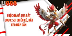 Cuộc Đá Gà Cựa Sắt U888: Soi Chiến Kê, Bắt Kèo Hấp Dẫn