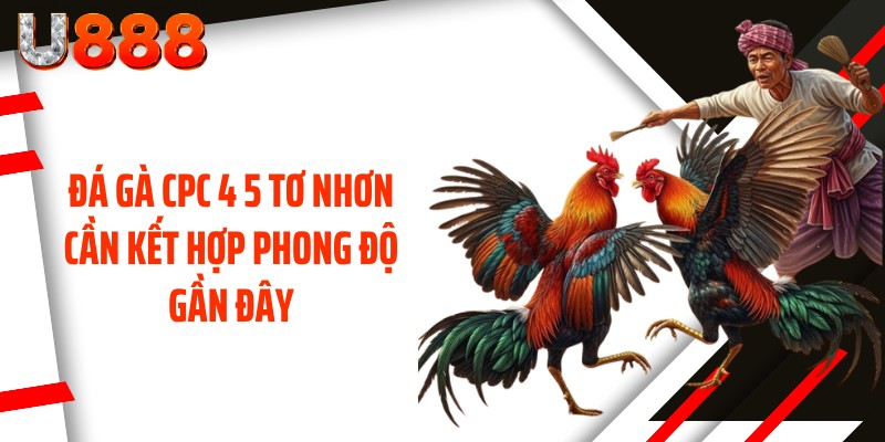 Đá gà CPC 4 5 tơ nhơn cần kết hợp phong độ gần đây