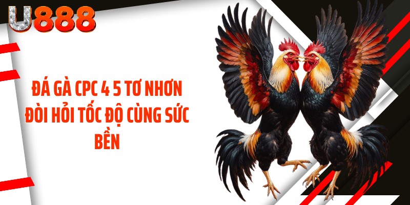 Đá gà CPC 4 5 tơ nhơn đòi hỏi tốc độ cùng sức bền