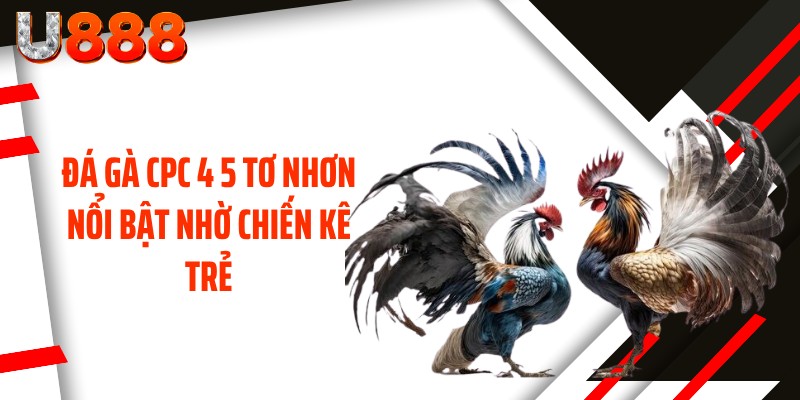 Đá gà CPC 4 5 tơ nhơn nổi bật nhờ chiến kê trẻ