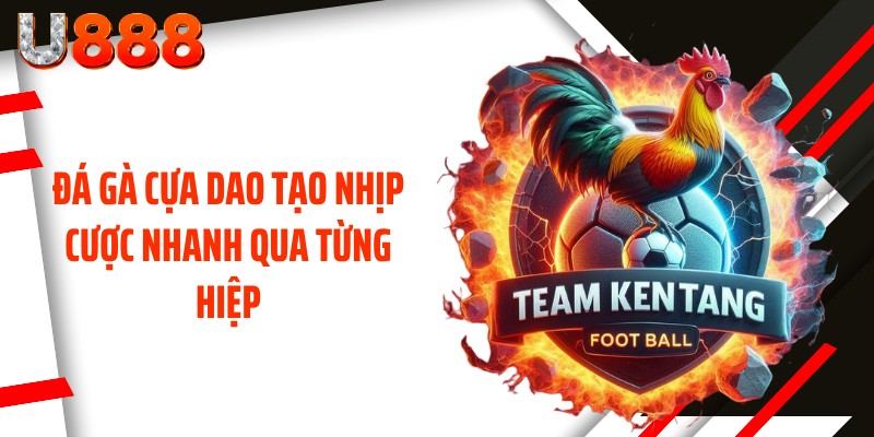Đá gà cựa dao tạo nhịp cược nhanh qua từng hiệp