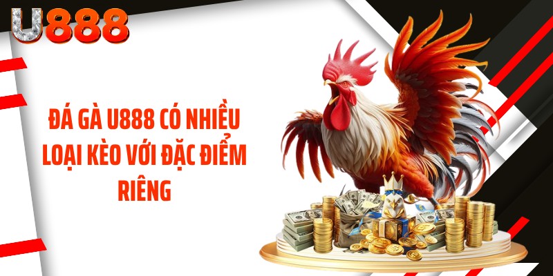 Đá gà U888 có nhiều loại kèo với đặc điểm riêng
