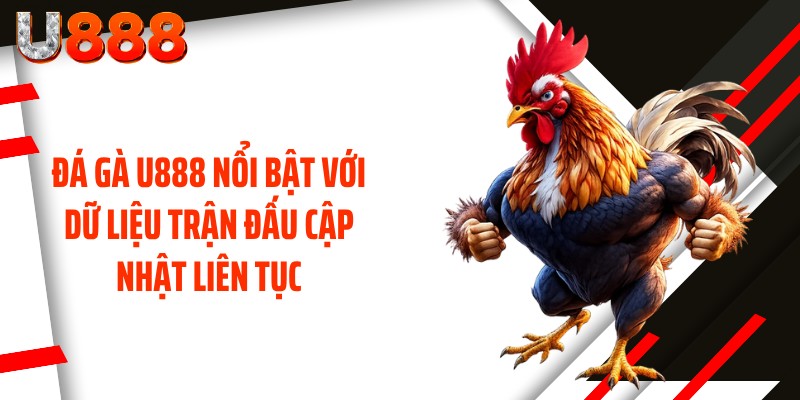 Đá gà U888 nổi bật với dữ liệu trận đấu cập nhật liên tục