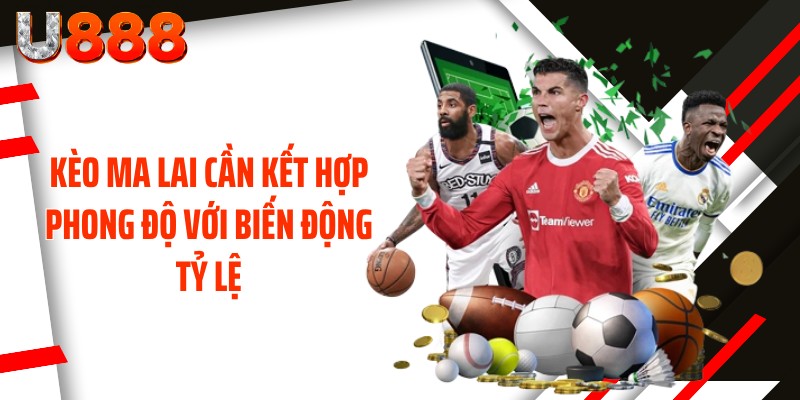 Kèo Ma Lai cần kết hợp phong độ với biến động tỷ lệ