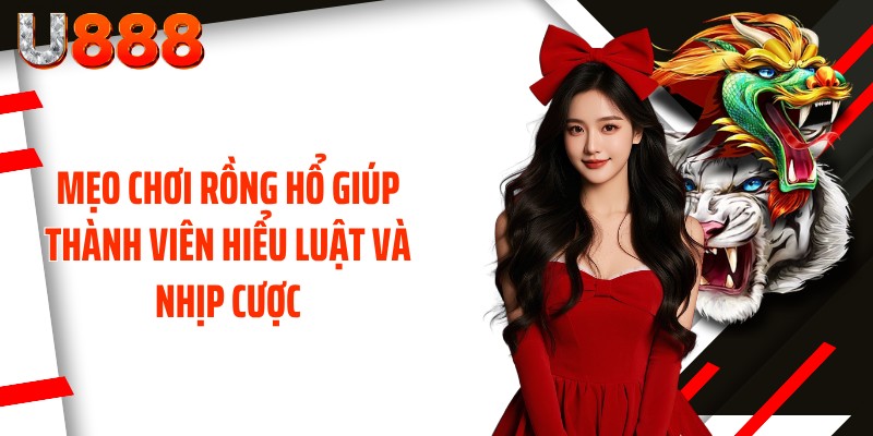Mẹo chơi Rồng Hổ giúp thành viên hiểu luật và nhịp cược
