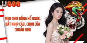 Mẹo Chơi Rồng Hổ U888: Bắt Nhịp Cầu, Chọn Cửa Chuẩn Hơn