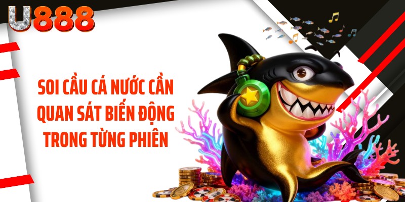 Soi cầu cá nước cần quan sát biến động trong từng phiên