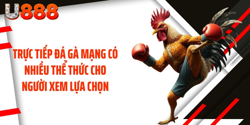 Trực tiếp đá gà mạng có nhiều thể thức cho người xem lựa chọn
