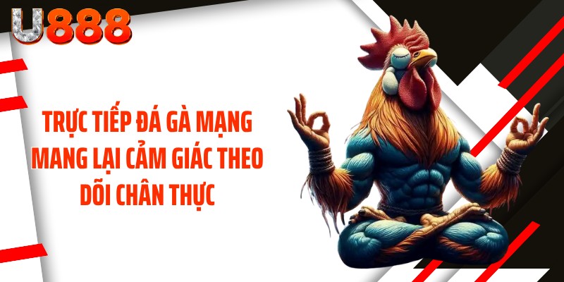 Trực tiếp đá gà mạng mang lại cảm giác theo dõi chân thực