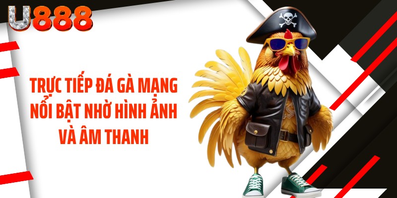 Trực tiếp đá gà mạng nổi bật nhờ hình ảnh và âm thanh